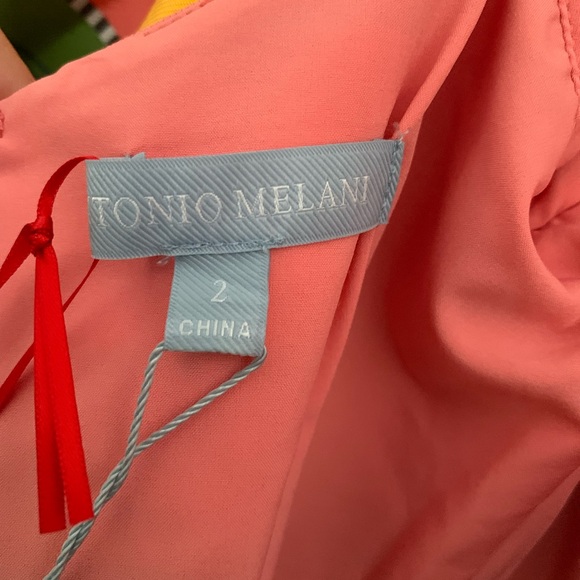 Antonio Melani The Nat Note -multicolor striped mini dress with puff sleeves 2 - Picture 3 of 15